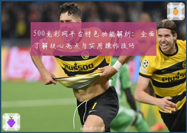 500竞彩网平台特色功能解析：全面了解核心亮点与实用操作技巧